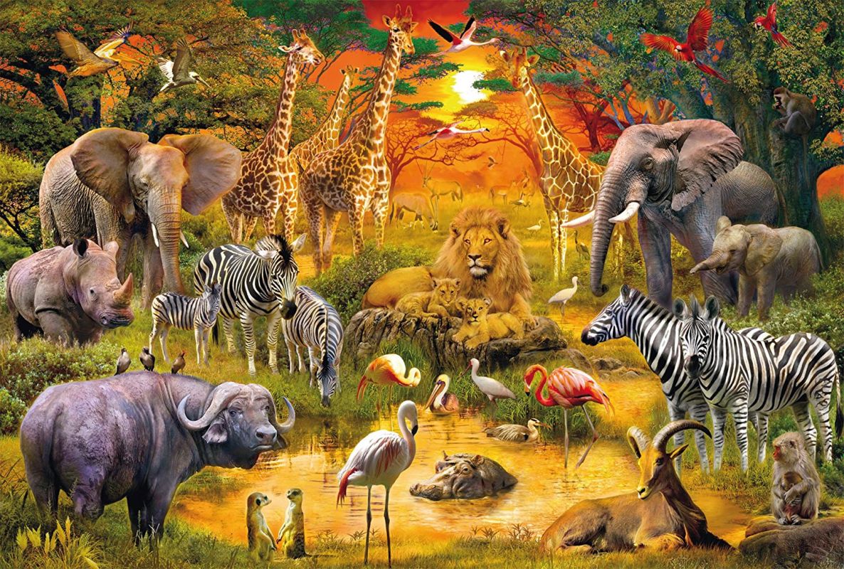 Elephants of Scotland - Home Facebook