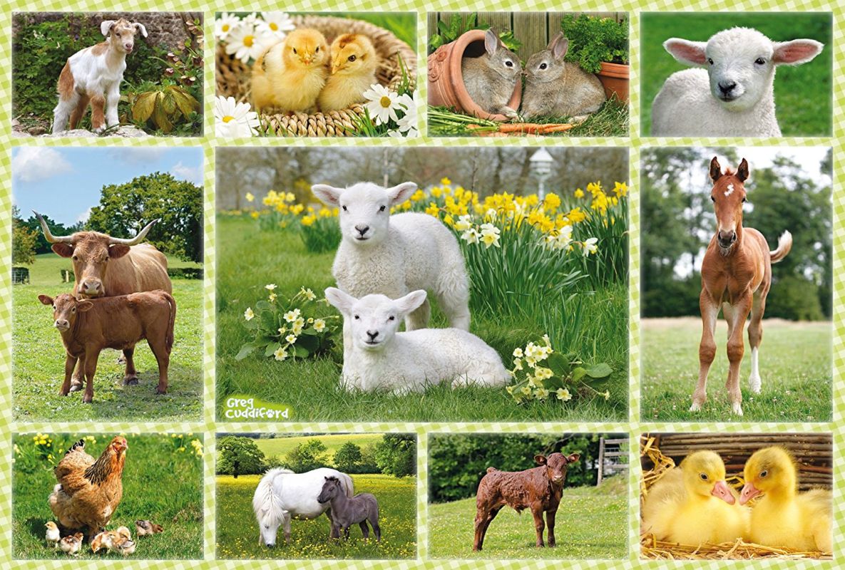 Puzzle Bebe Animaux A La Ferme